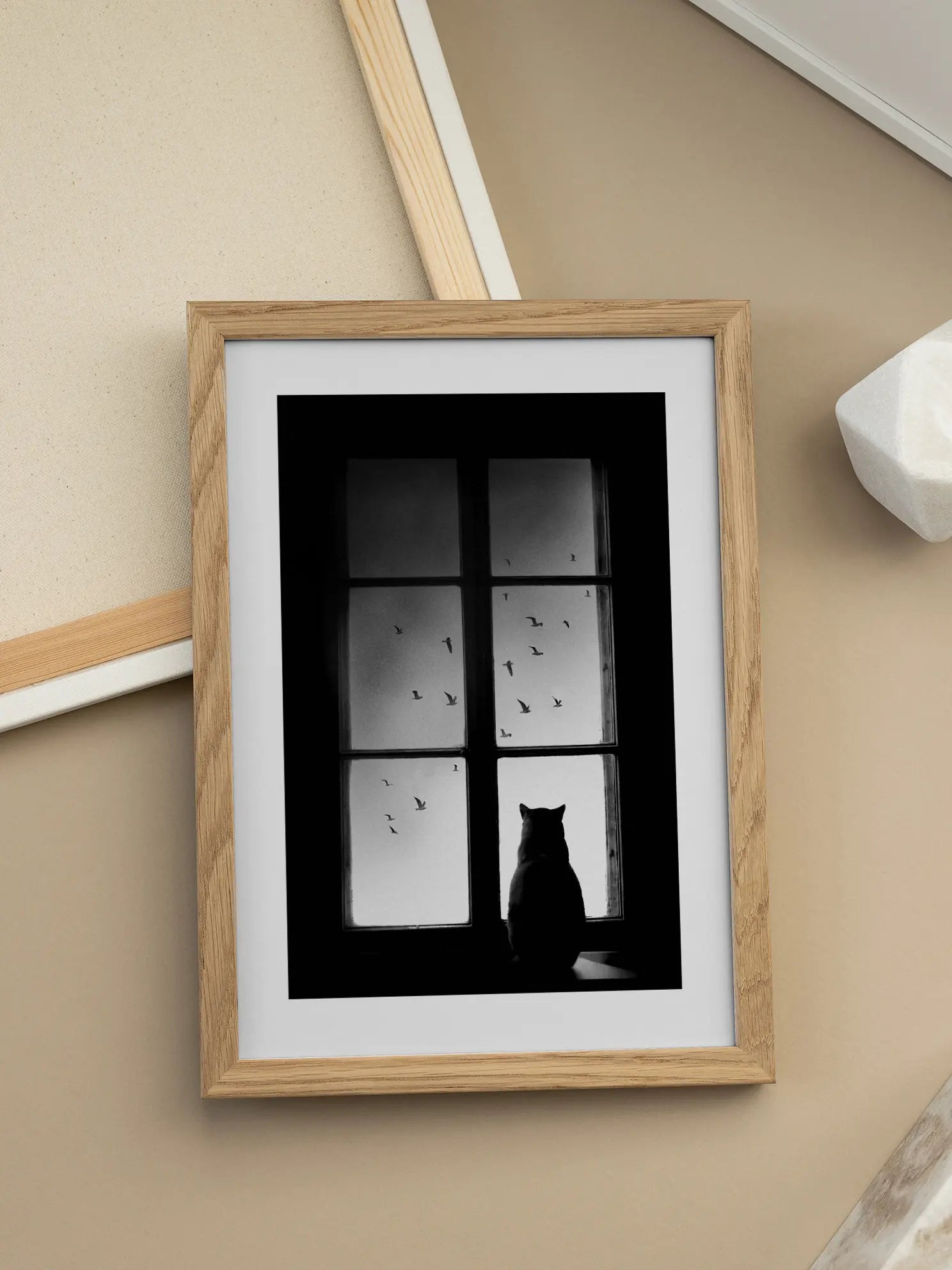 Cat Looking Out Poster