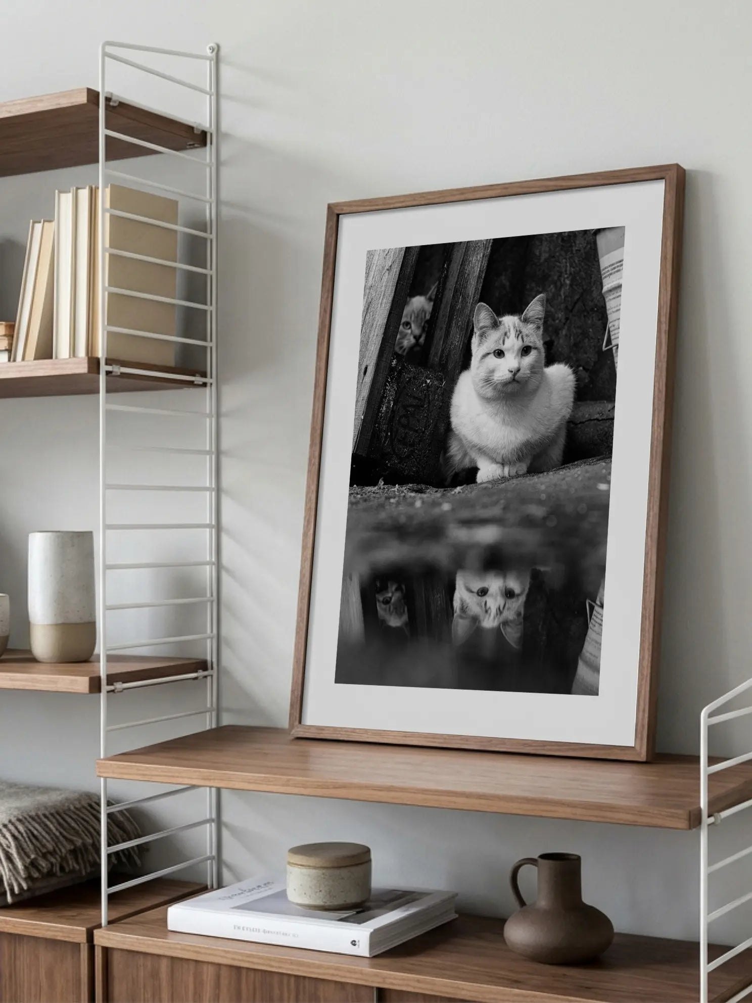 Cat Reflection Poster