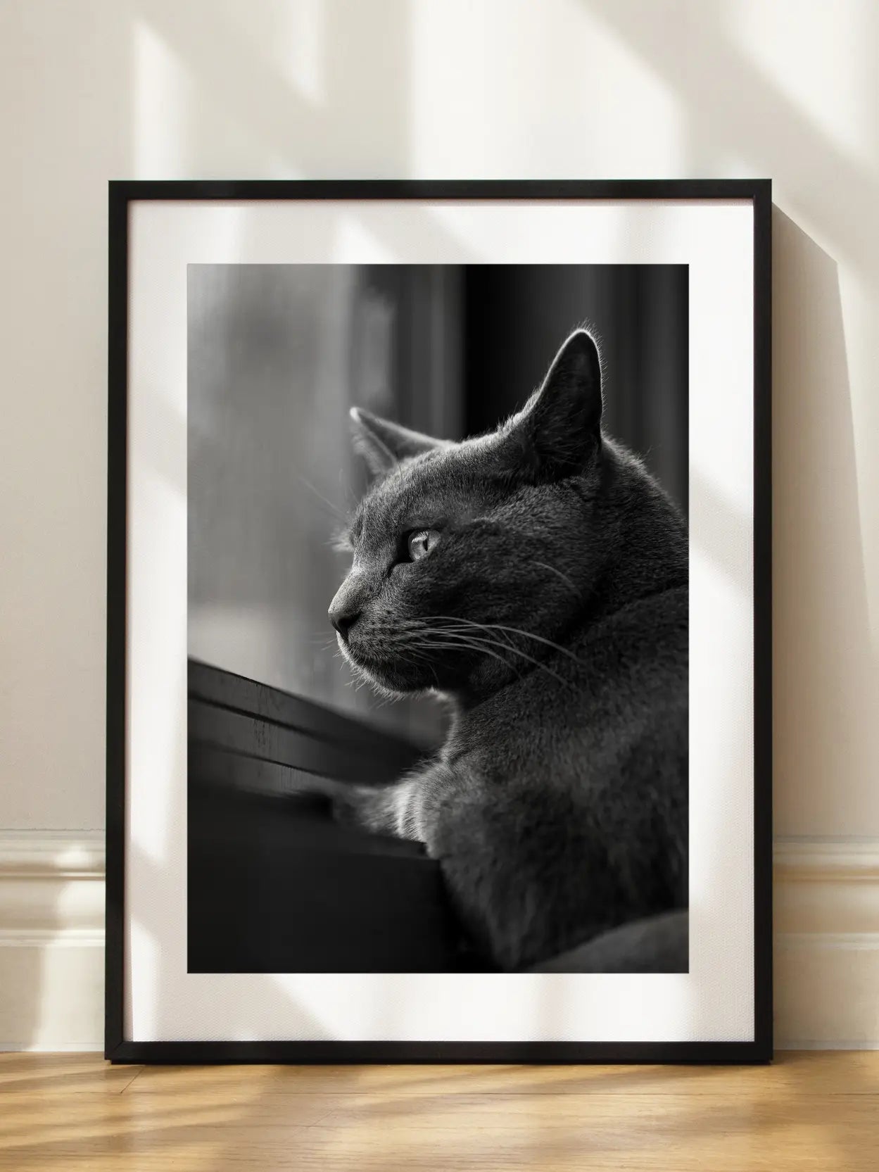 Cat Staring Out the Window Poster