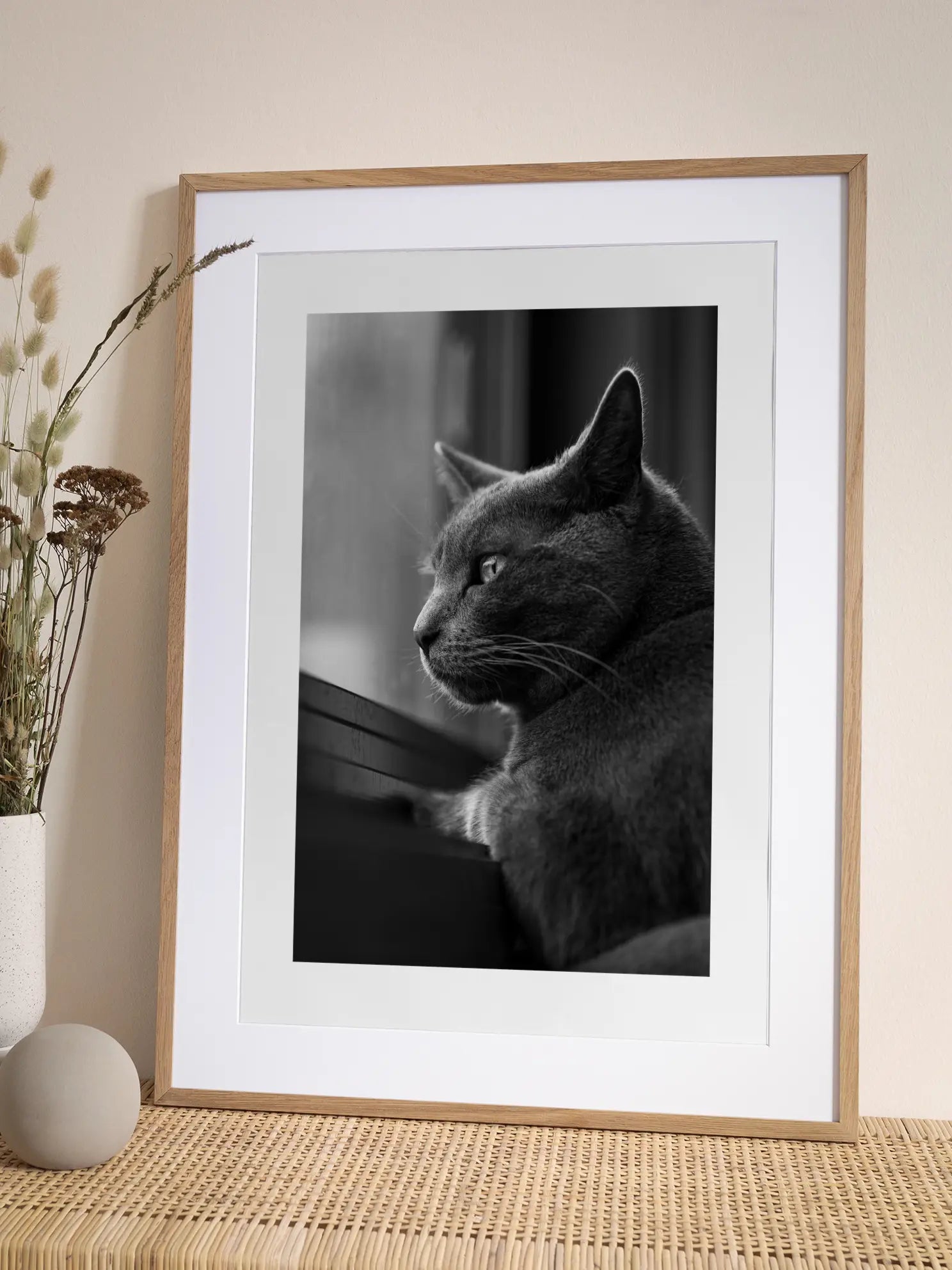 Cat Staring Out the Window Poster