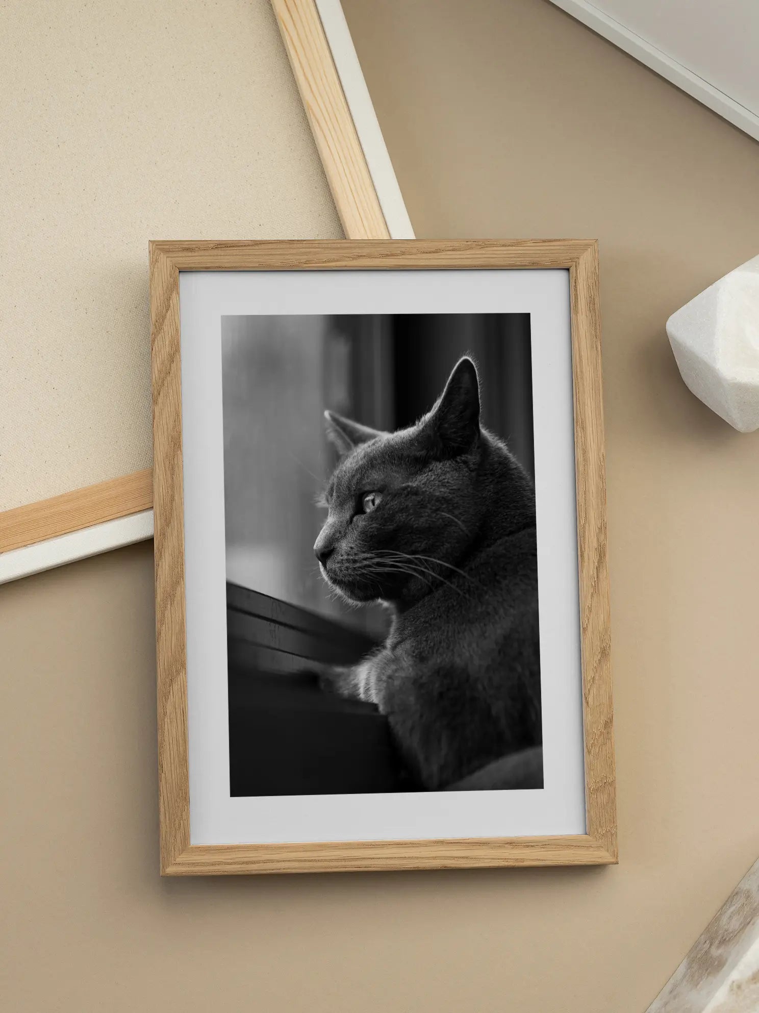 Cat Staring Out the Window Poster