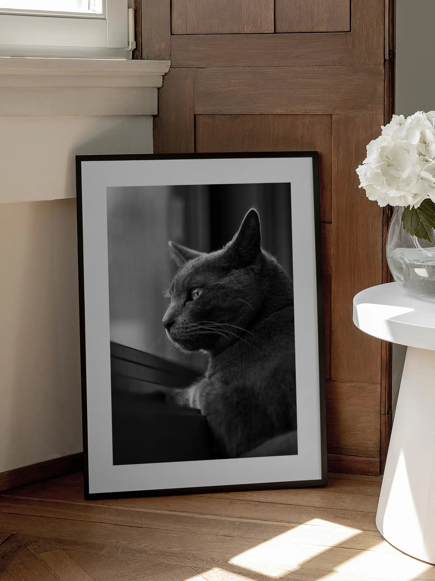 Cat Staring Out the Window Poster