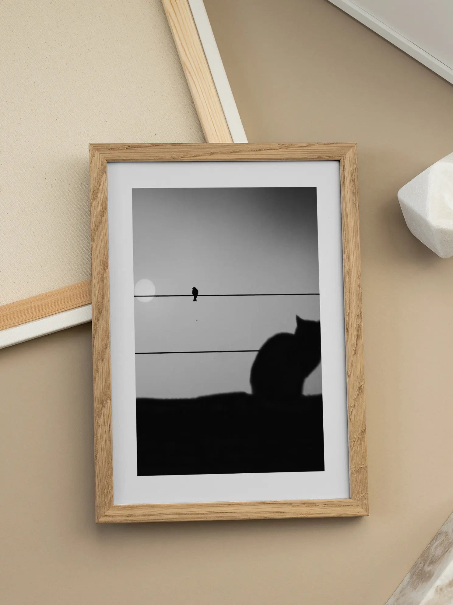 Cat and Bird Poster