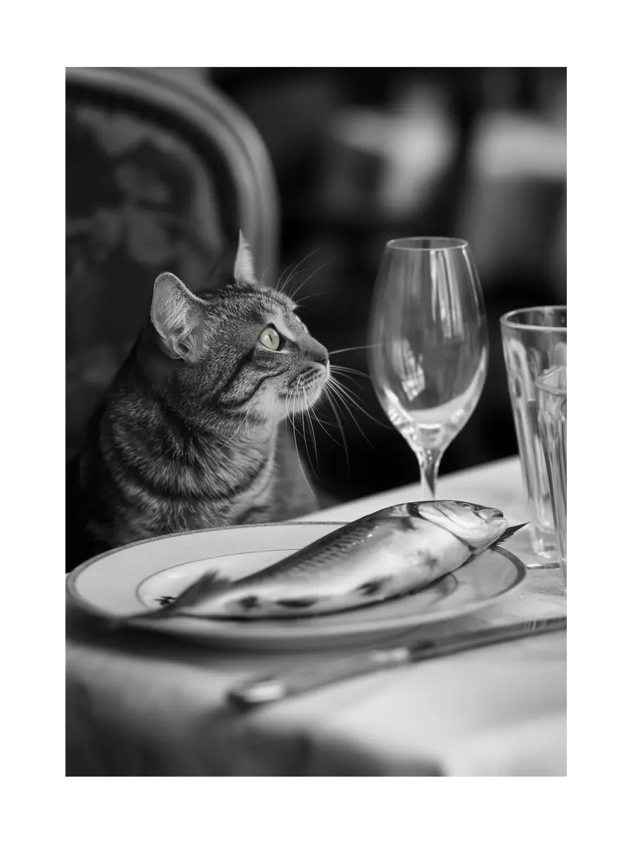 Schwarz-weiß-Fotografie einer Katze neben einem Fisch auf einem Teller.