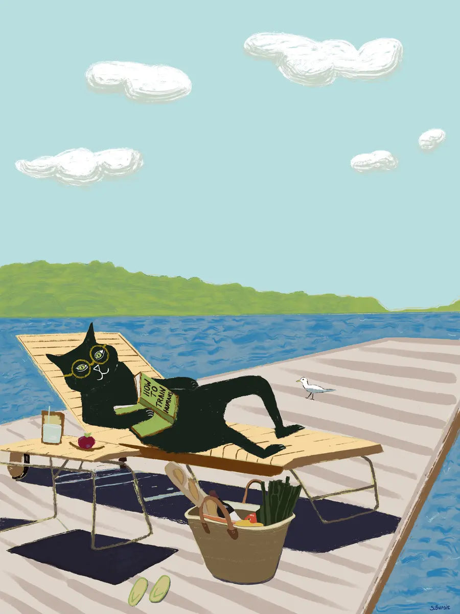 Illustration einer schwarzen Katze mit Sonnenbrille auf einem Steg, die ein Buch liest, mit einer Möwe daneben.