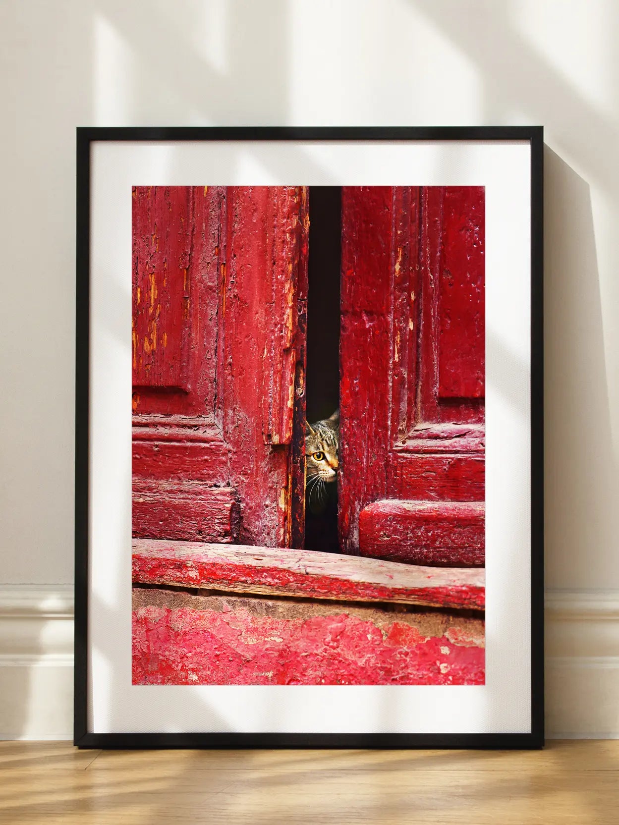 Cat in Red Door Poster