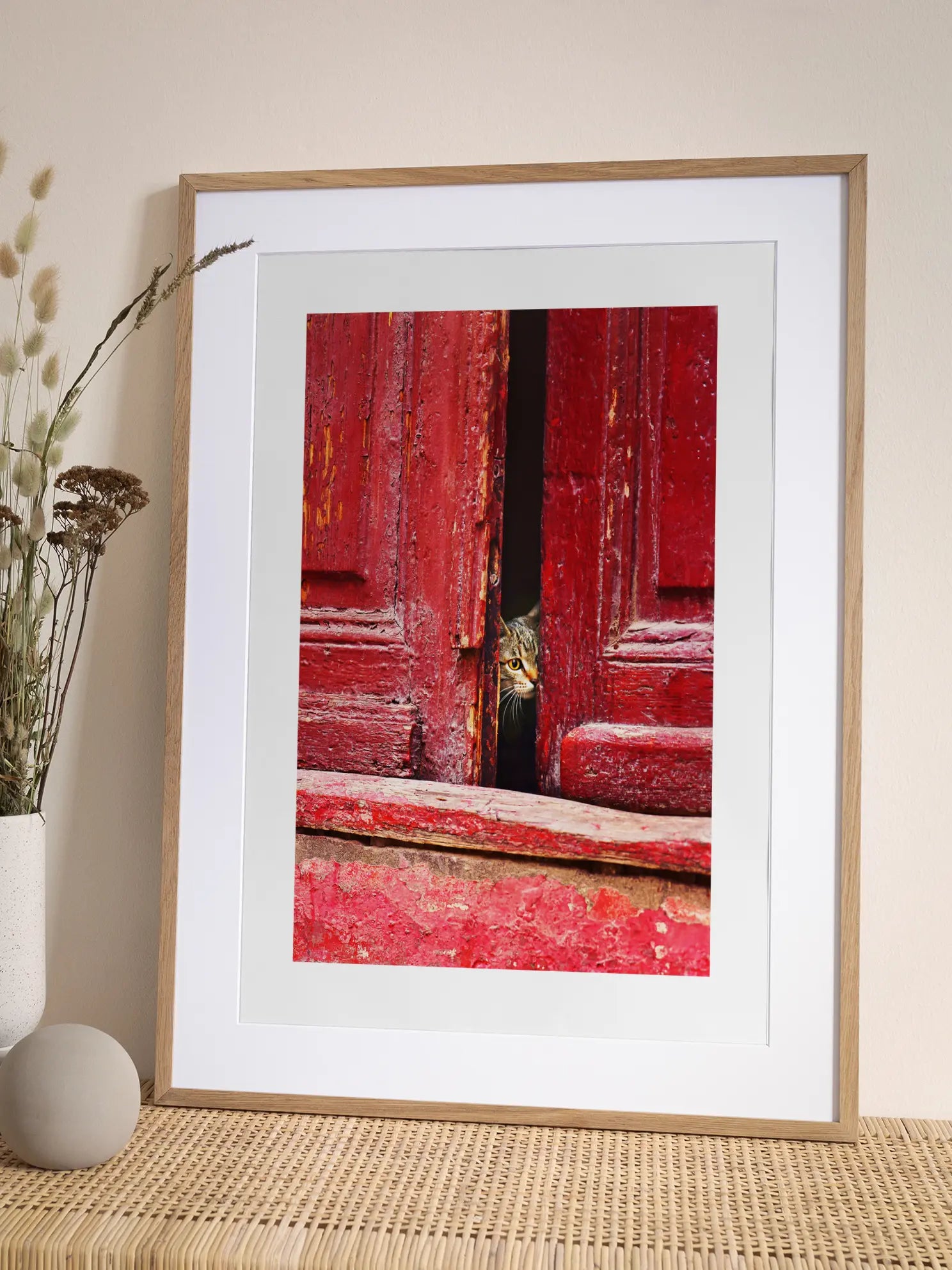 Cat in Red Door Poster
