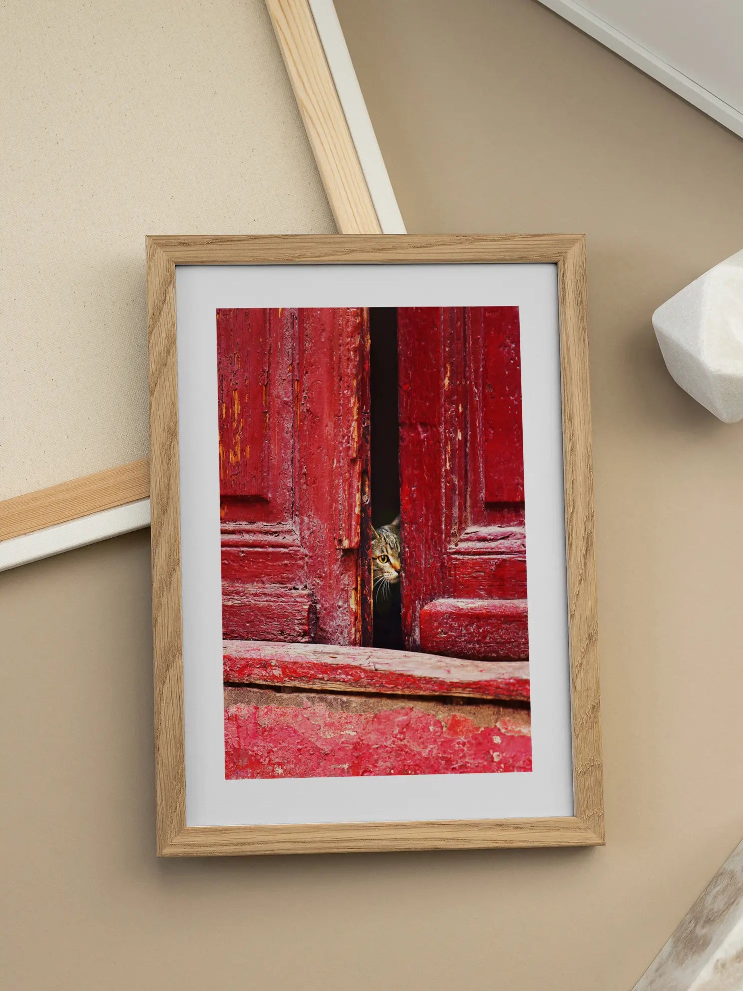 Cat in Red Door Poster