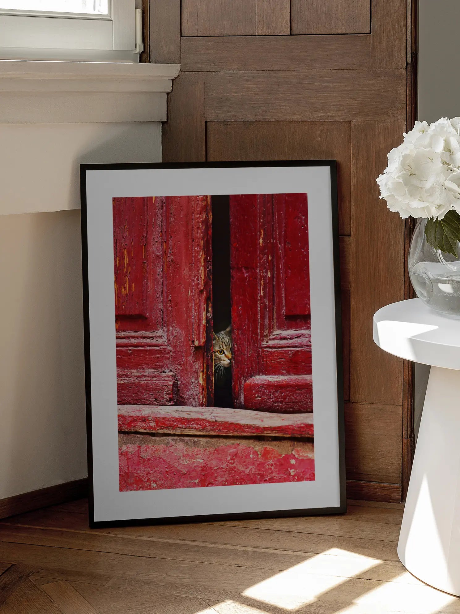 Cat in Red Door Poster