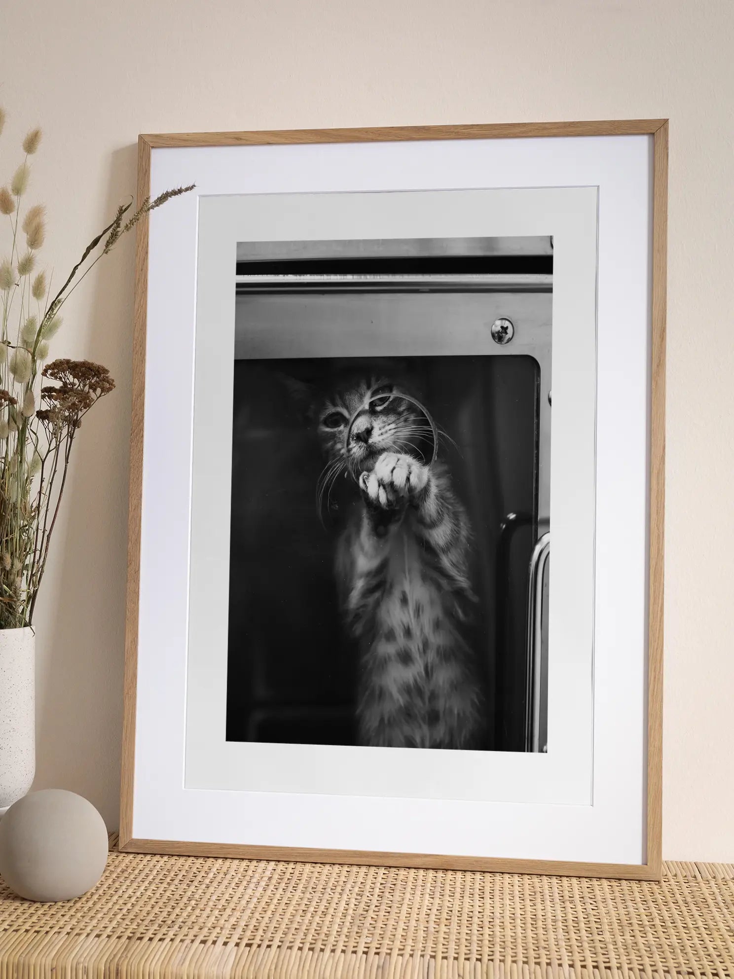 Cat in Window Poster