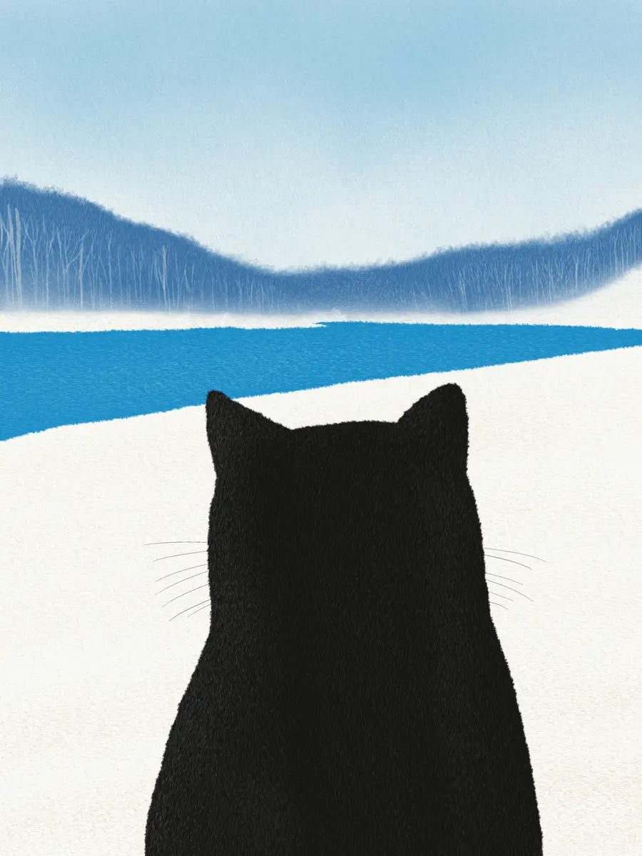 Schwarze Katze vor einer Winterlandschaft mit Schnee und einem blauen Fluss.