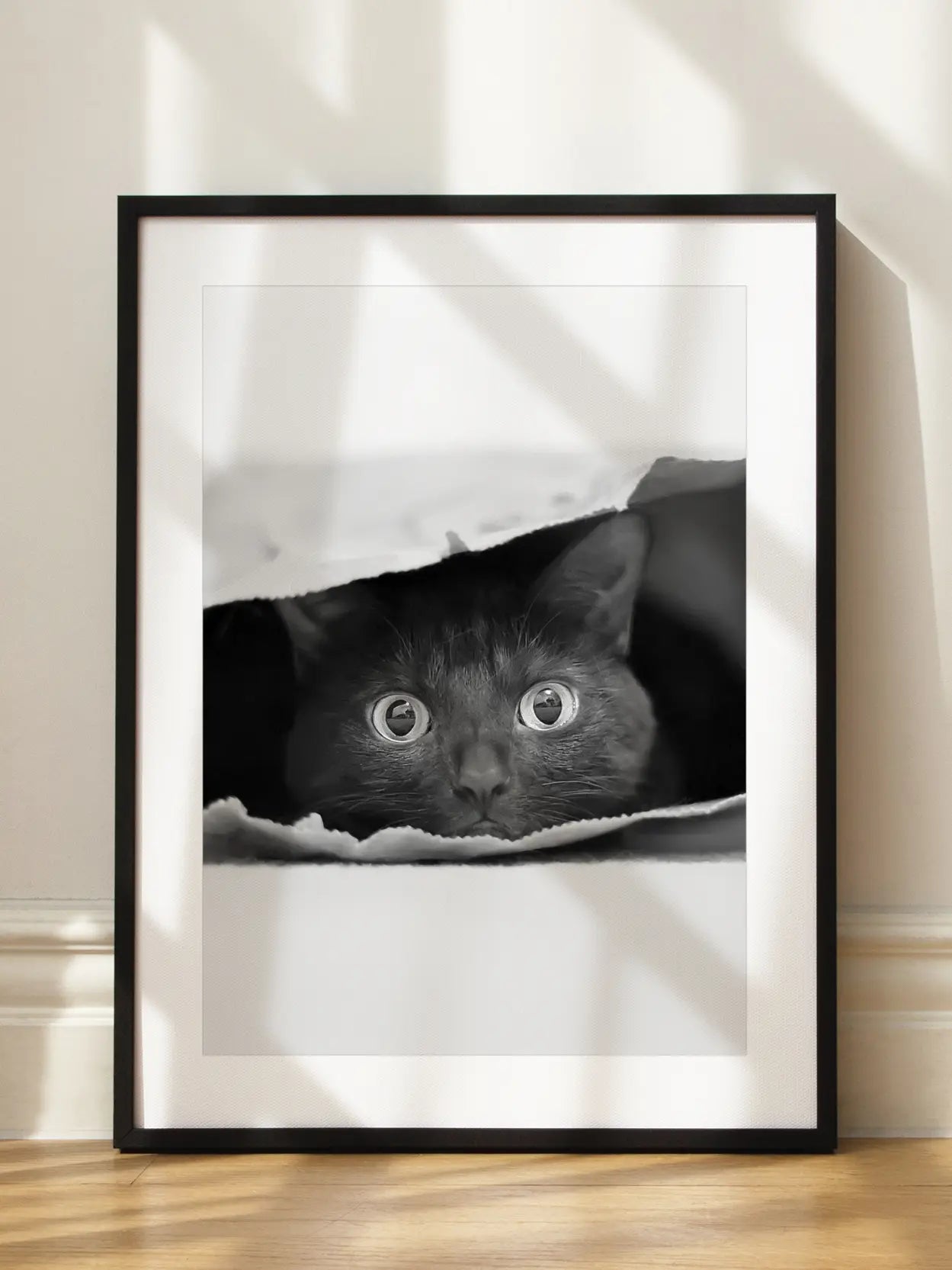 Cat in a Bag