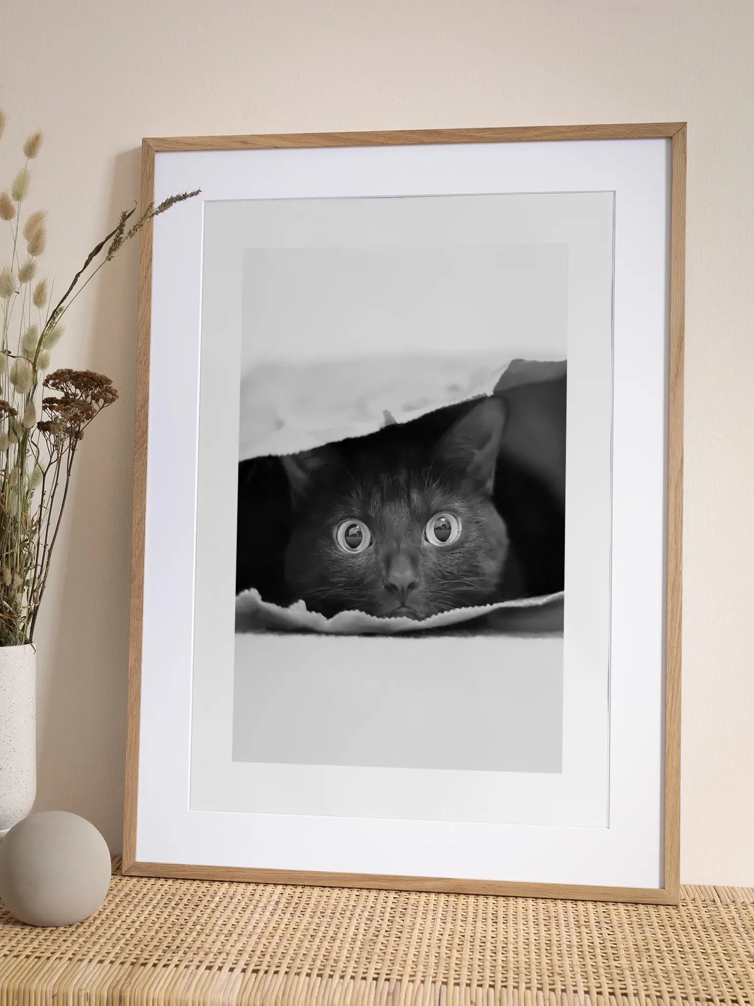 Cat in a Bag Poster