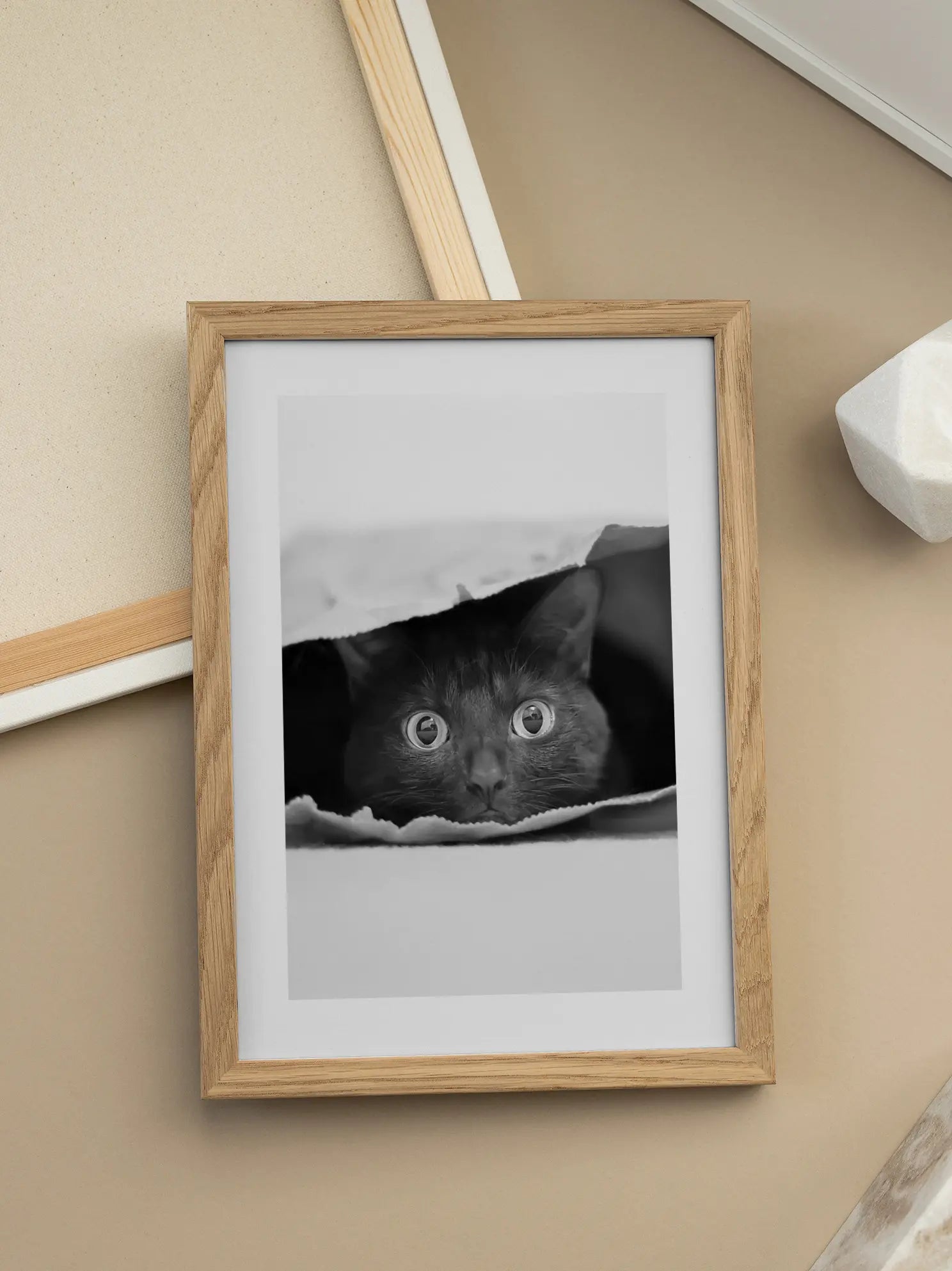 Cat in a Bag Poster