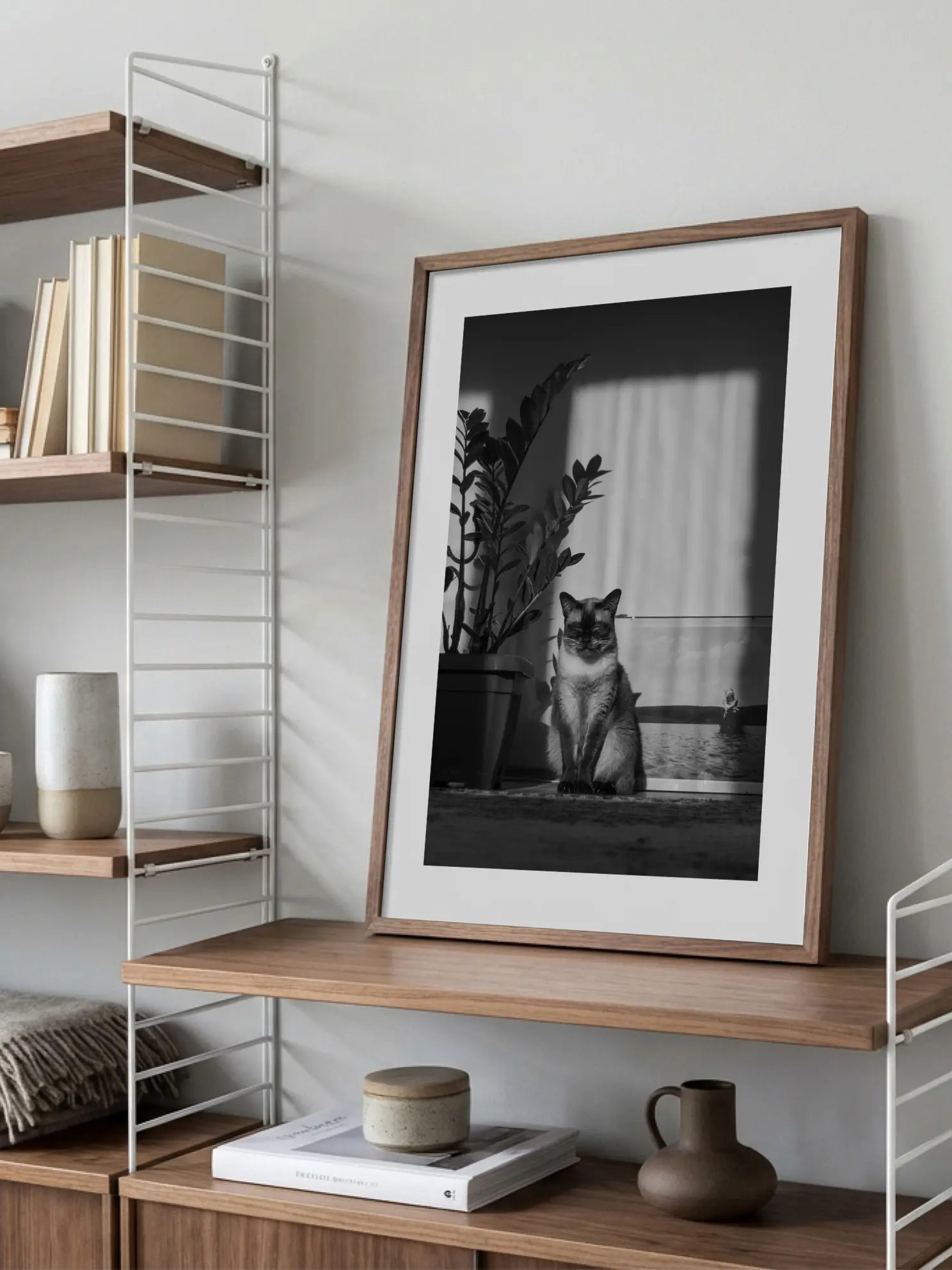 Cat in the Sun Poster