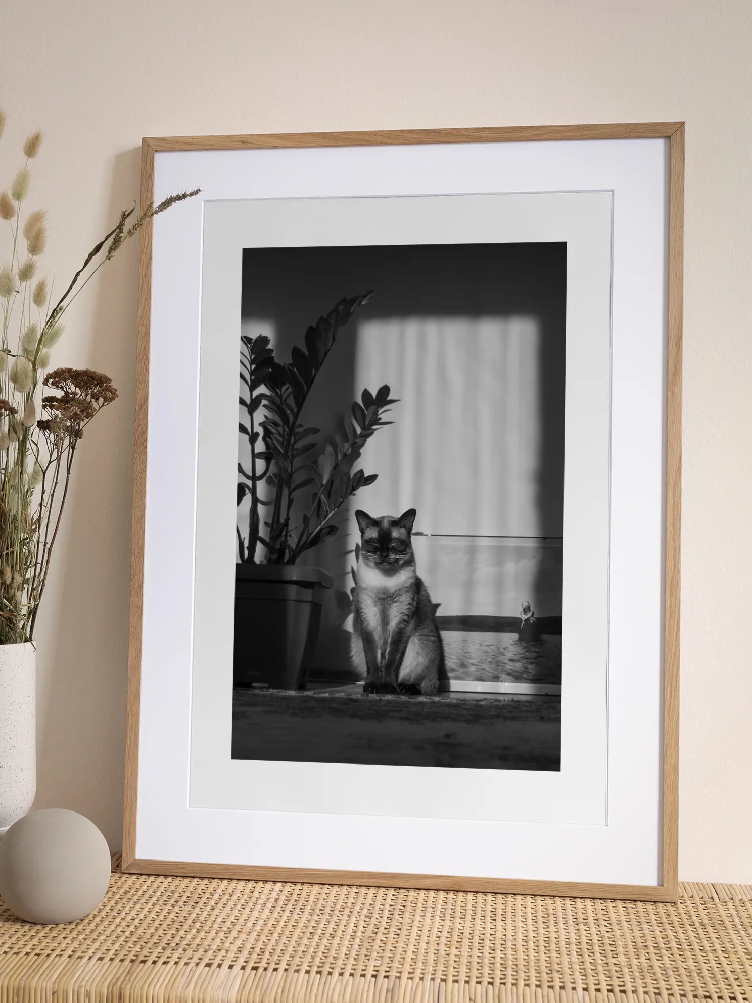 Cat in the Sun Poster