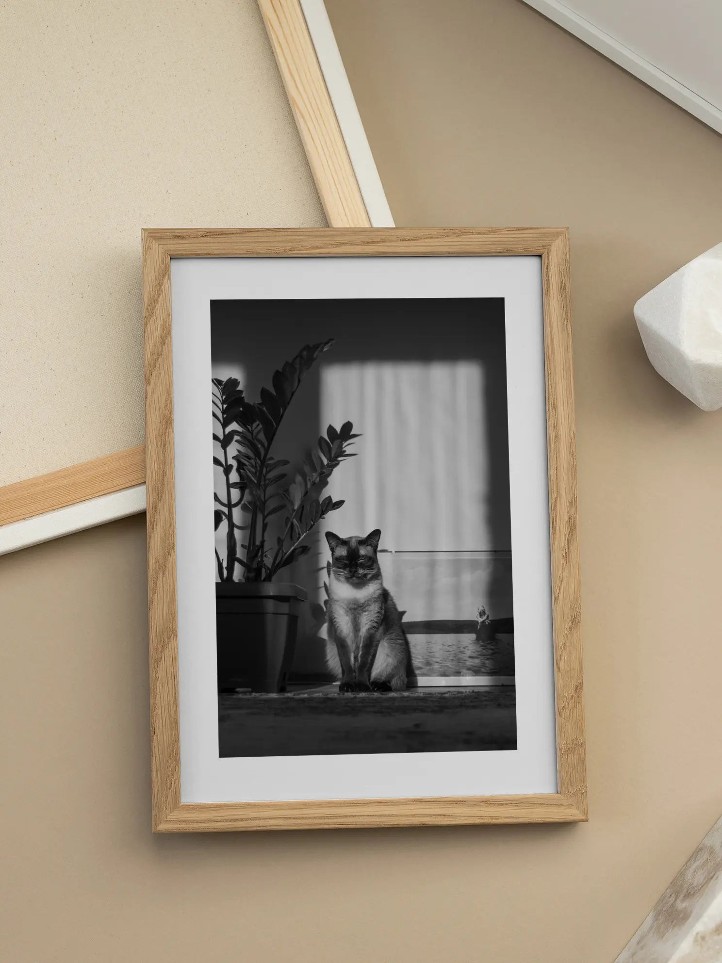 Cat in the Sun Poster