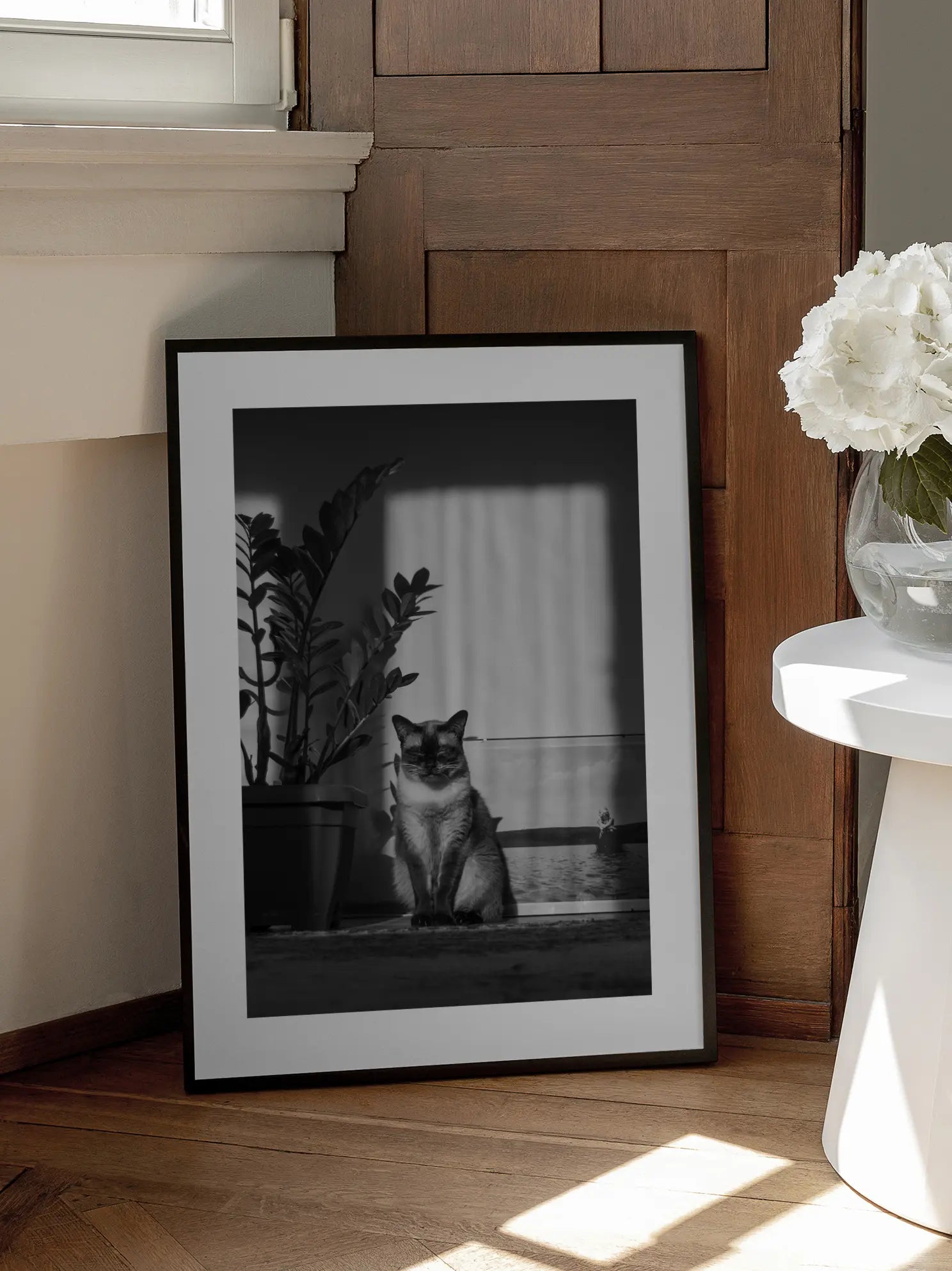 Cat in the Sun Poster