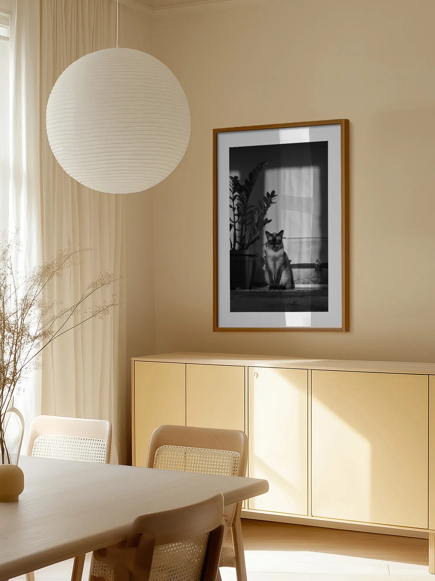 Cat in the Sun Poster