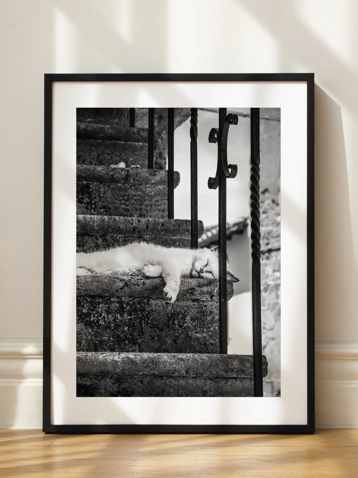 Cat on the Stairs Poster