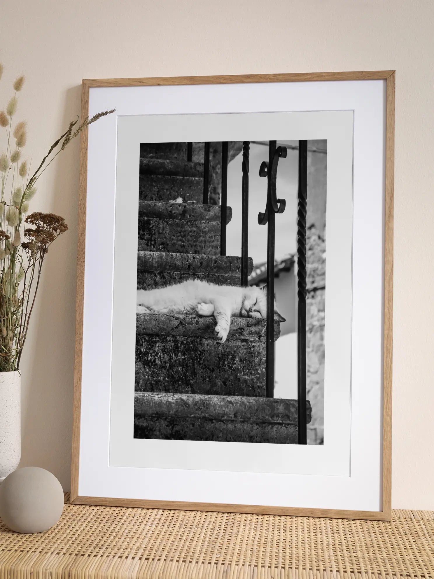 Cat on the Stairs Poster