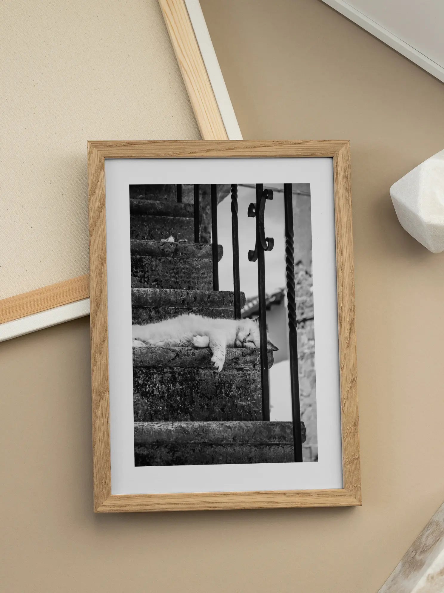 Cat on the Stairs Poster