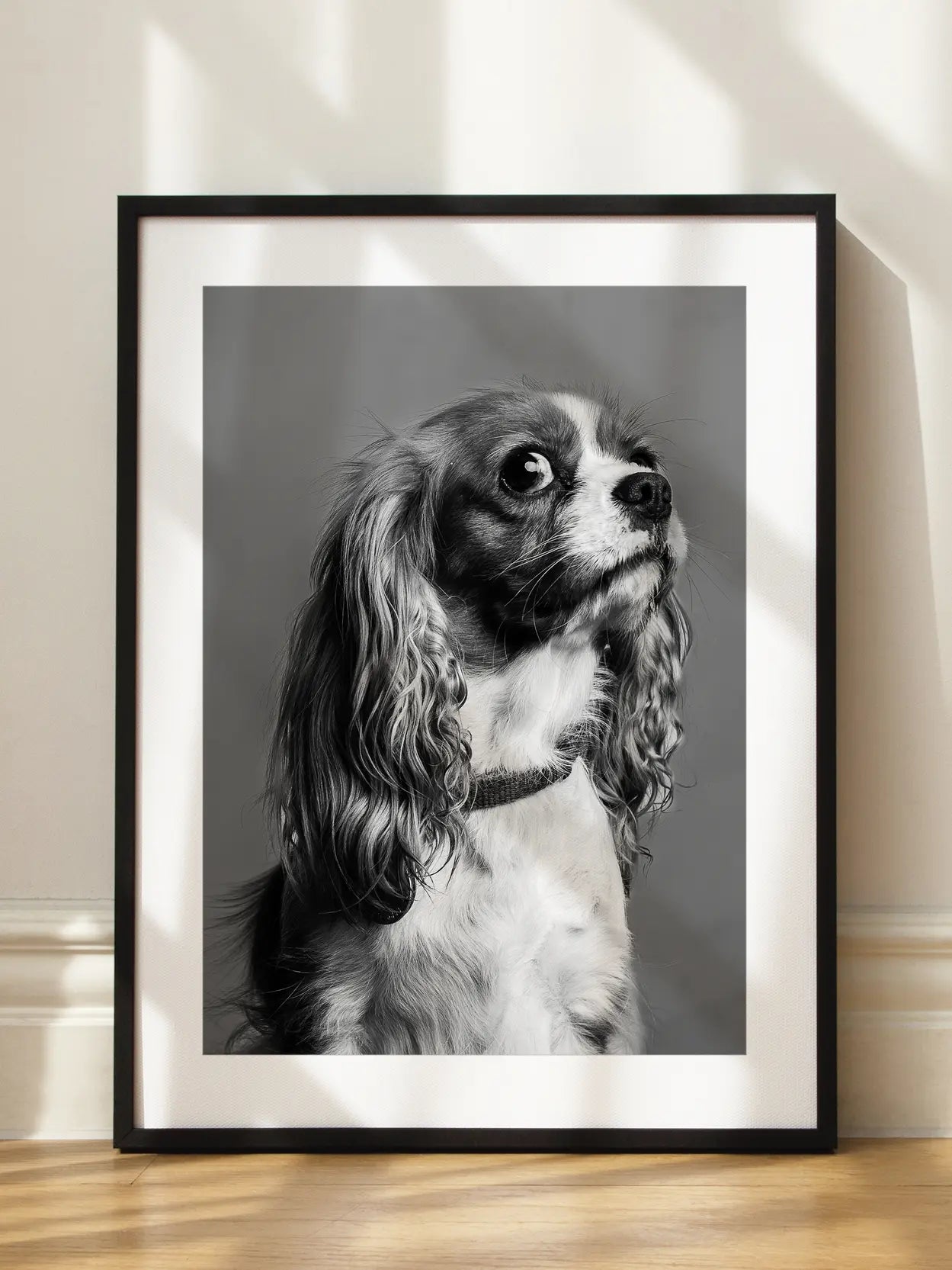 Cavalier King Charles Spaniel Dog Poster