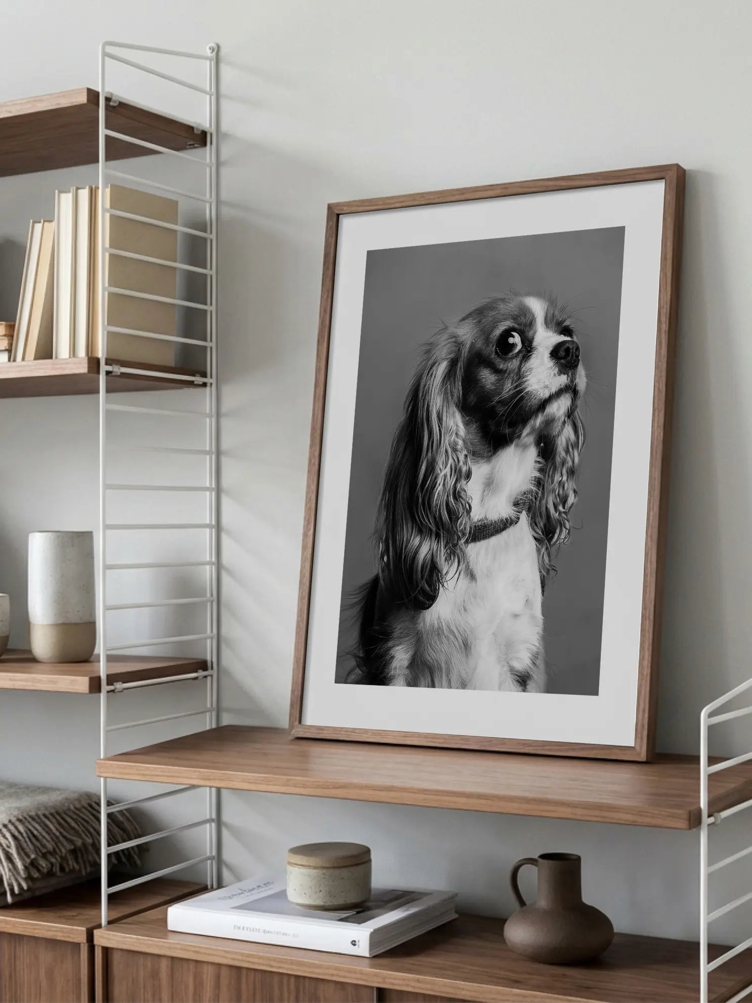 Cavalier King Charles Spaniel Dog Poster