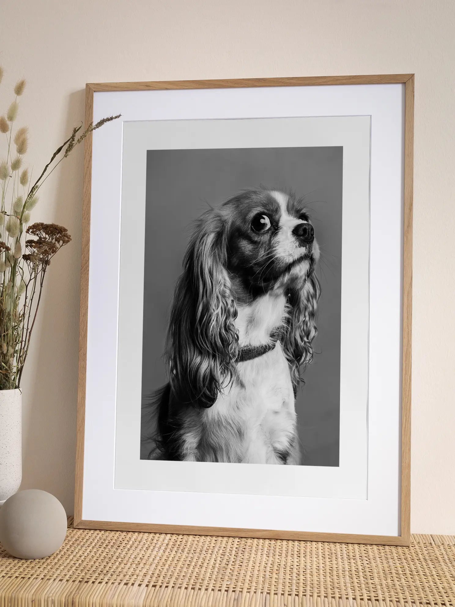 Cavalier King Charles Spaniel Dog Poster