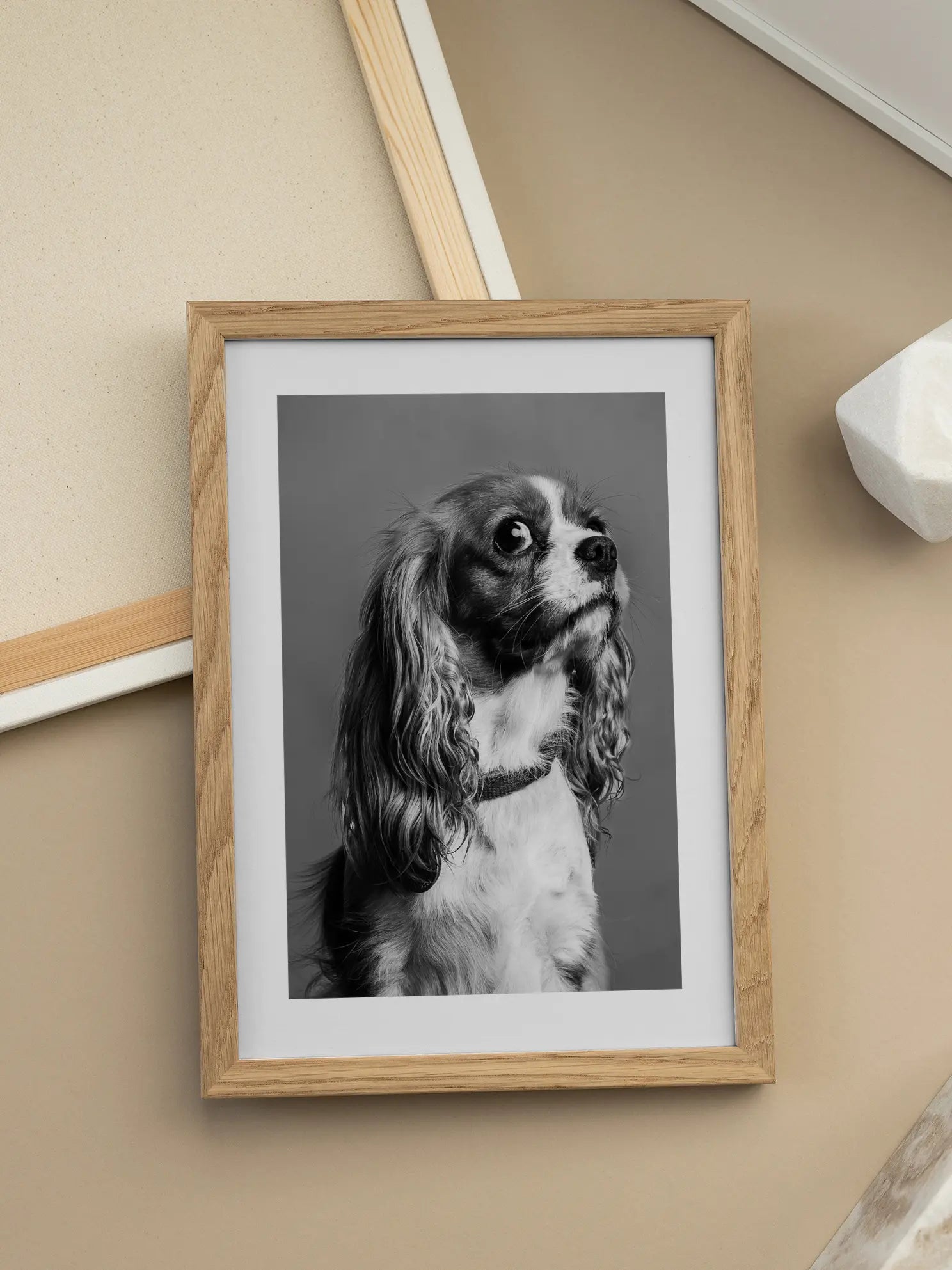 Cavalier King Charles Spaniel Dog Poster