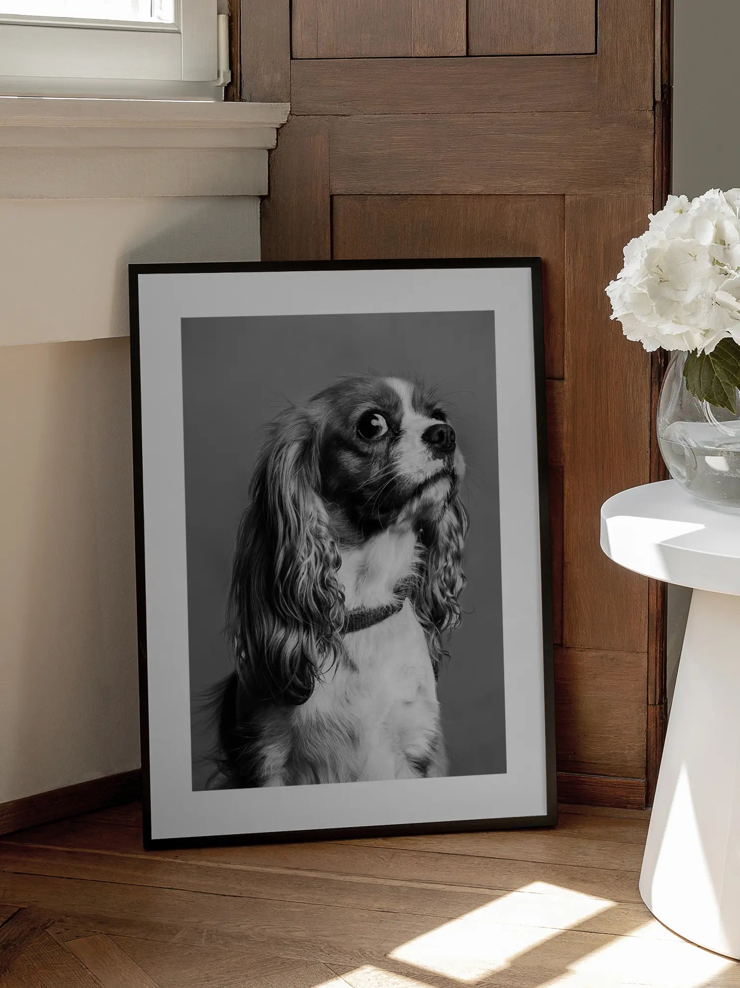 Cavalier King Charles Spaniel Dog Poster