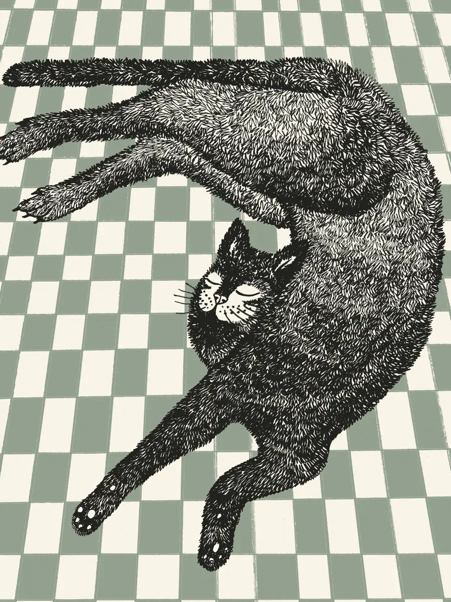 Checkered Cat Poster