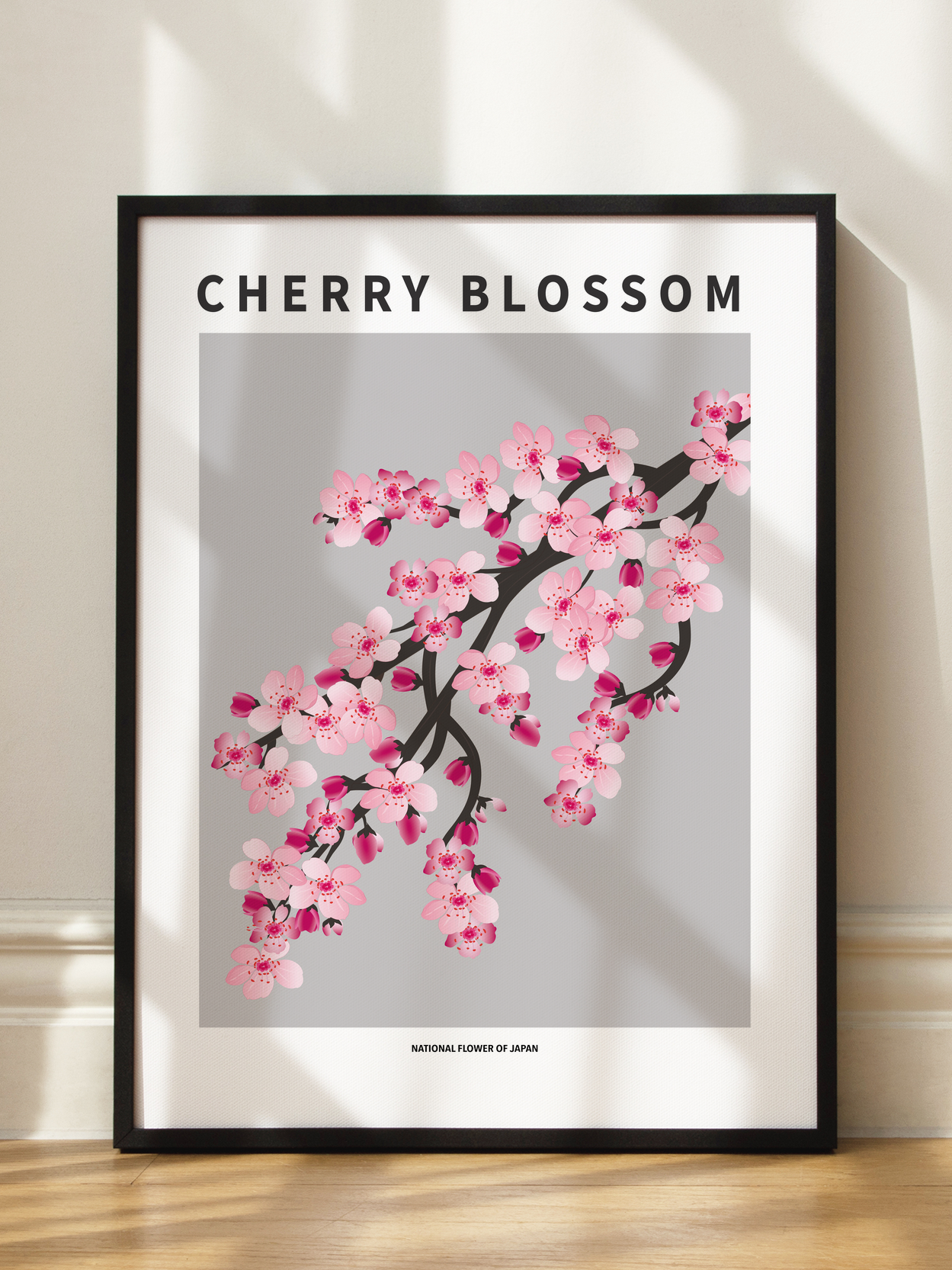 Cherry Blossom of Japan