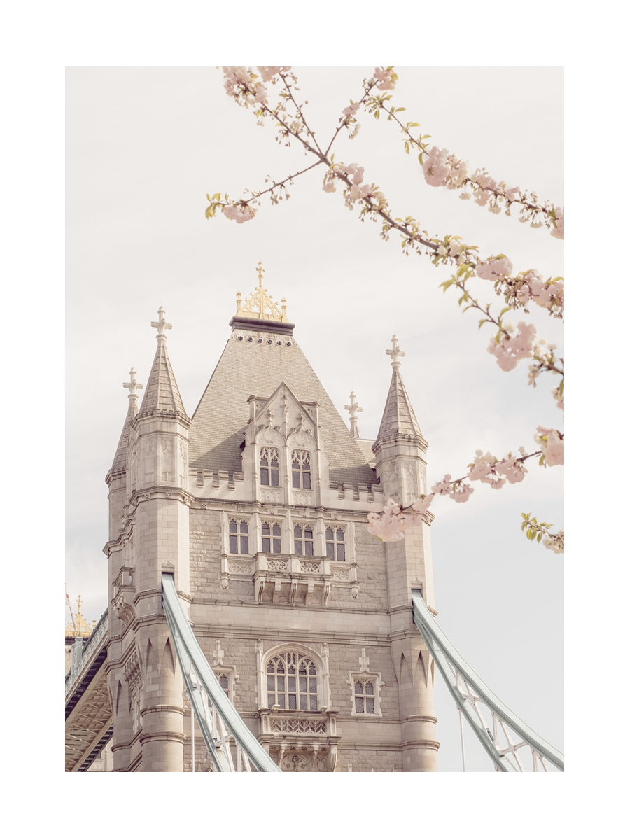 Fotografie der Tower Bridge mit Kirschblüten im Vordergrund.