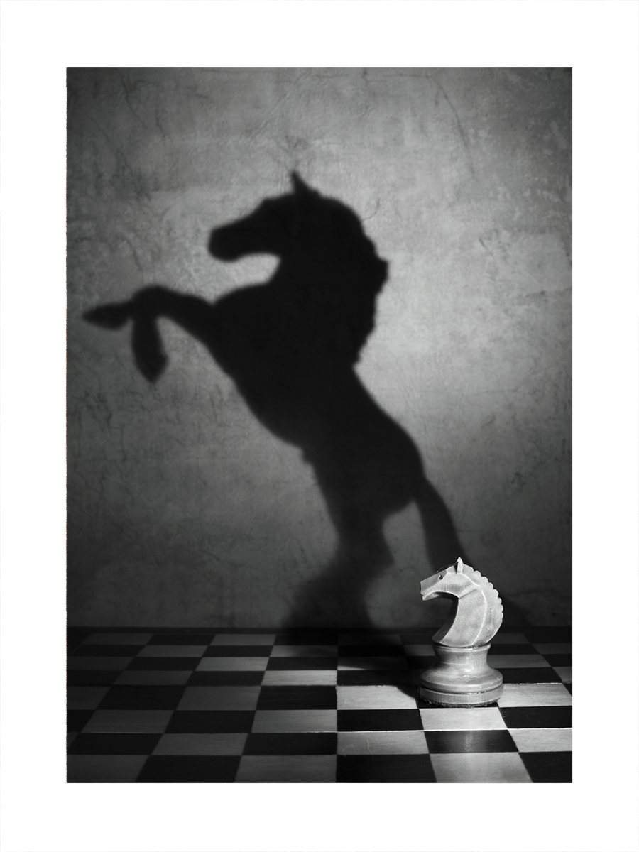 Schwarzweiß-Fotografie einer Schachfigur in Form eines Pferdes mit dem Schatten eines echten Pferdes.