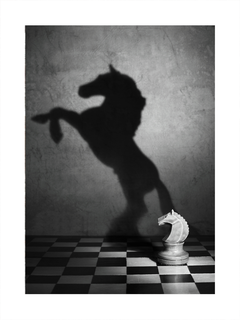 Schwarzweiß-Fotografie einer Schachfigur in Form eines Pferdes mit dem Schatten eines echten Pferdes.