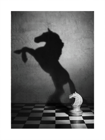 Schwarzweiß-Fotografie einer Schachfigur in Form eines Pferdes mit dem Schatten eines echten Pferdes.
