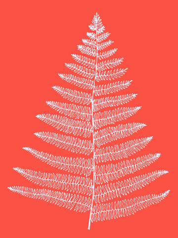 Grafische Illustration eines weißen Farnblatts auf rotem Hintergrund.