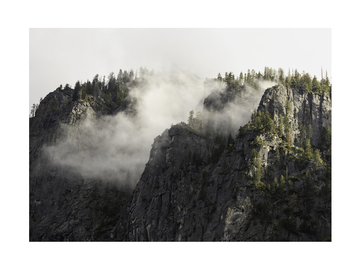 Fotografie von Nebel zwischen Bäumen auf einem Berggipfel.