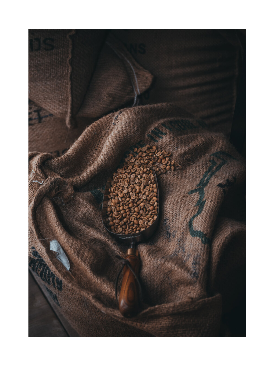Coffee Beans Jutesack Texture Poster