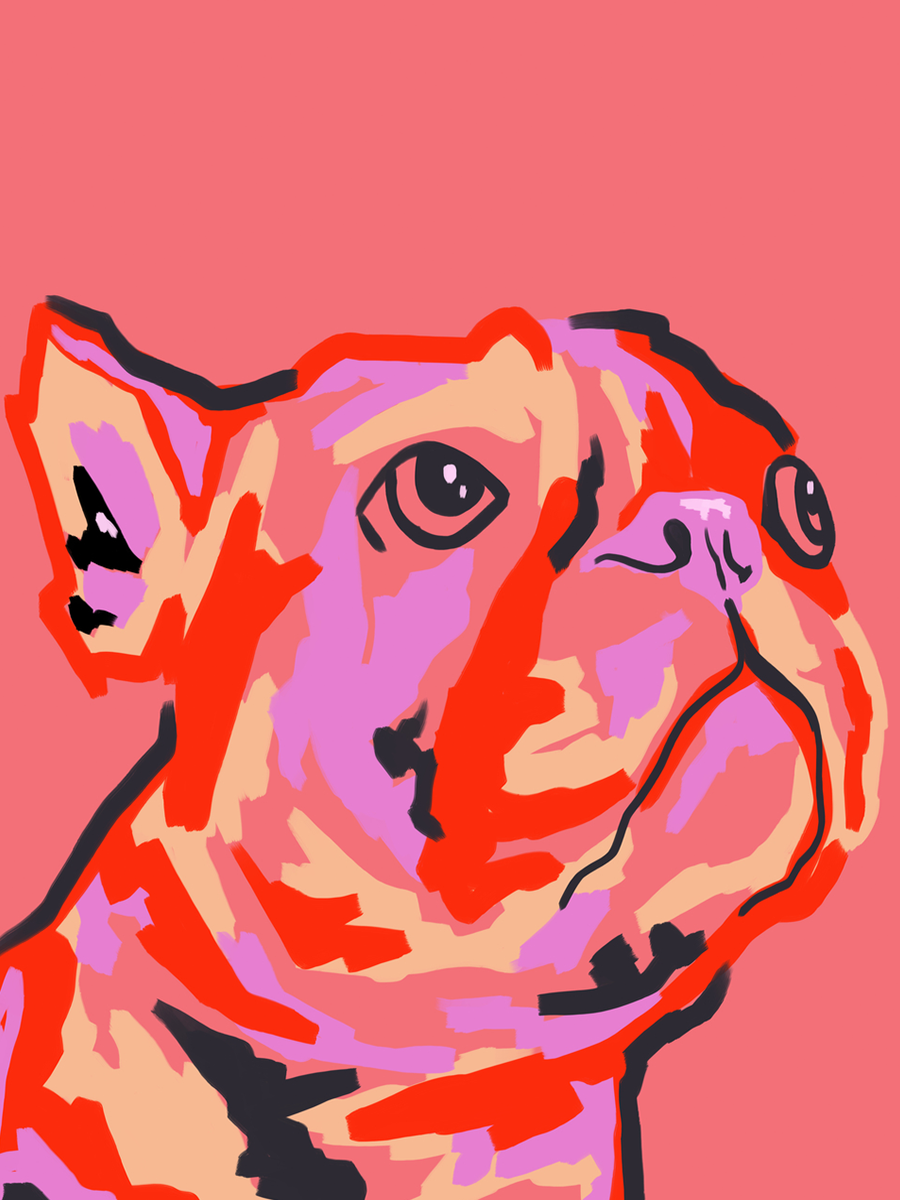 Porträt eines Hundes in leuchtenden Farben auf rosa Hintergrund.