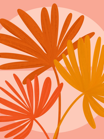 Illustration von Fächern in Orange und Gelb vor einem rosa Hintergrund.