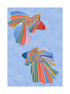 Zwei bunte Fische auf blauem Hintergrund.