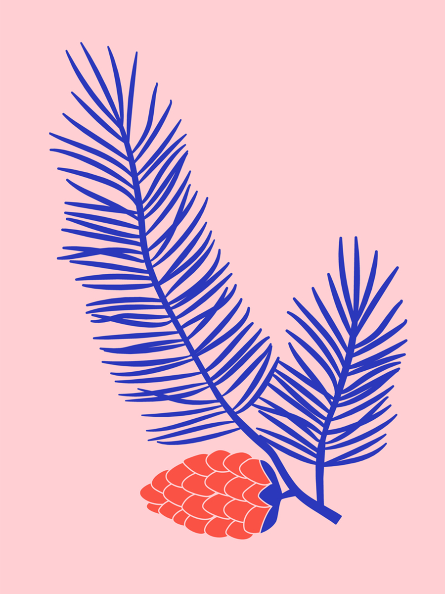 Illustration eines roten Tannenzapfens mit blauen Tannenzweigen auf rosa Hintergrund.