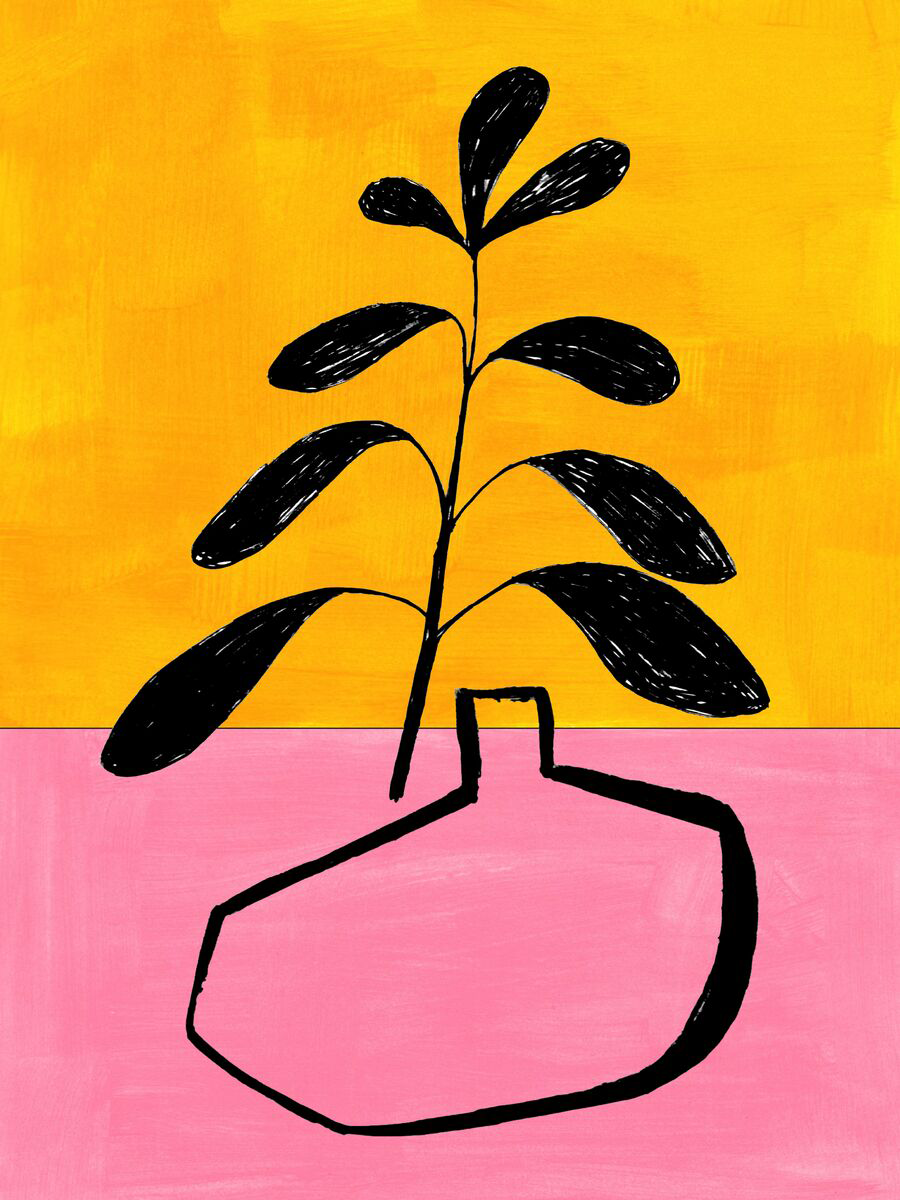 Grafische Illustration einer Pflanze mit schwarzen Blättern in einer schwarzen Vase vor einem gelben und rosa Hintergrund.