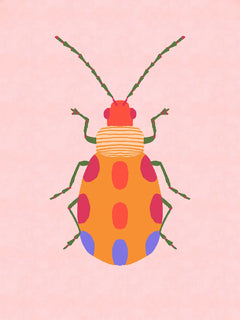 Eine grafische Illustration eines bunten Käfers mit roten blauen und orangen Punkten auf rosa Hintergrund.