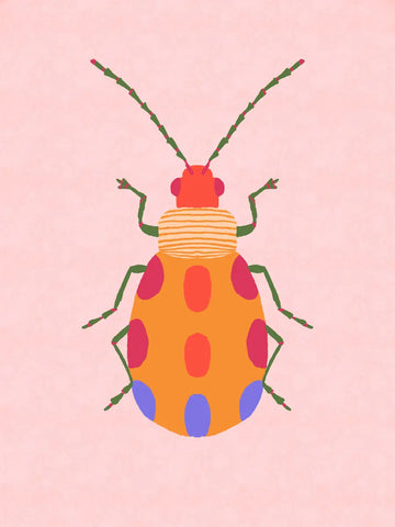 Eine grafische Illustration eines bunten Käfers mit roten blauen und orangen Punkten auf rosa Hintergrund.