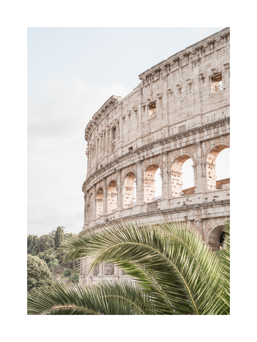 Fotografie des Kolosseums mit Palmen im Vordergrund.