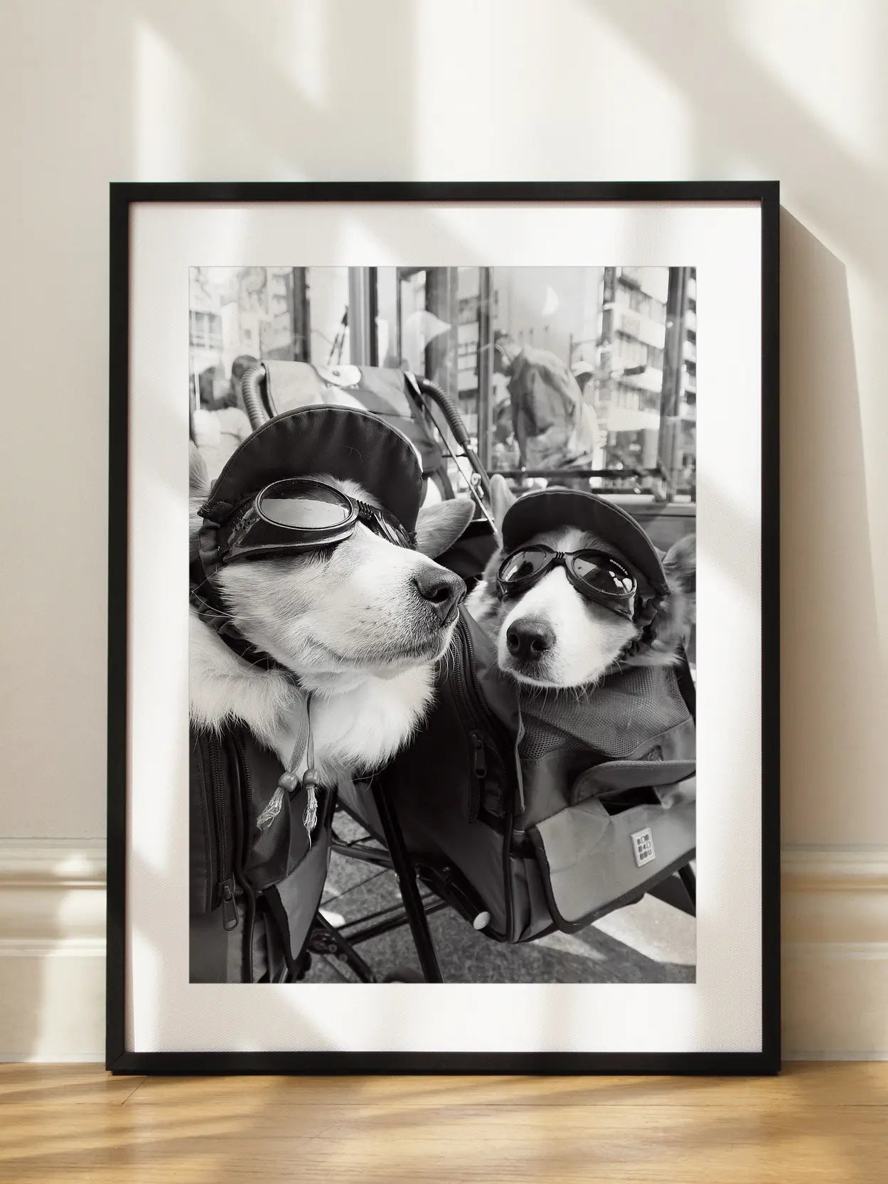 Conversation of the Corgi