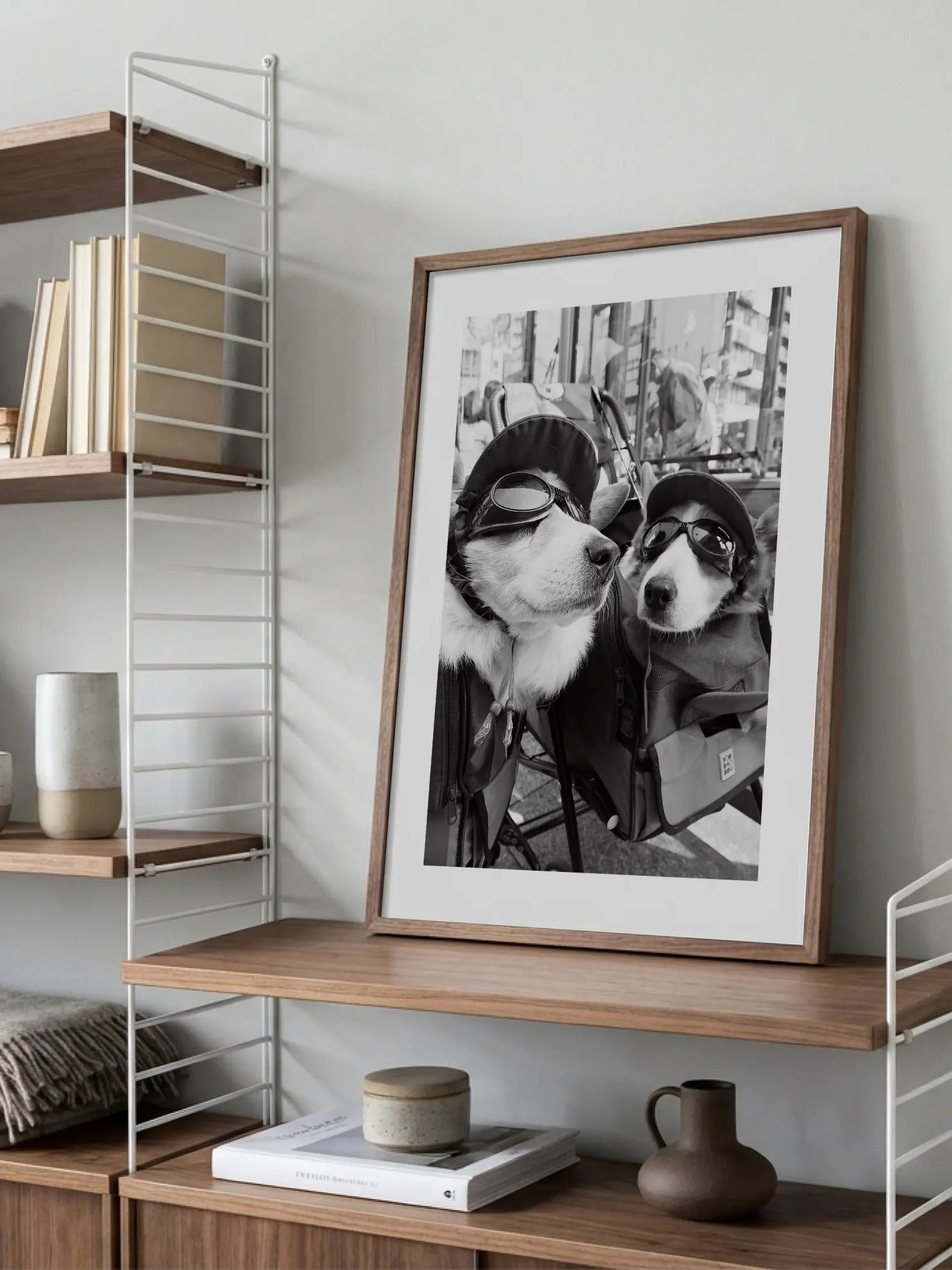 Conversation of the Corgi Poster